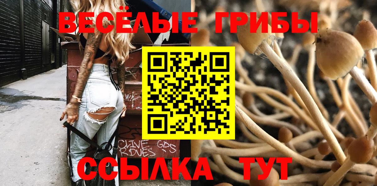 Псилоцибиновые грибы мухоморы  Вход с VPN  где купить наркоту  Азнакаево  Псилоцибиновые грибы Psilocybe 