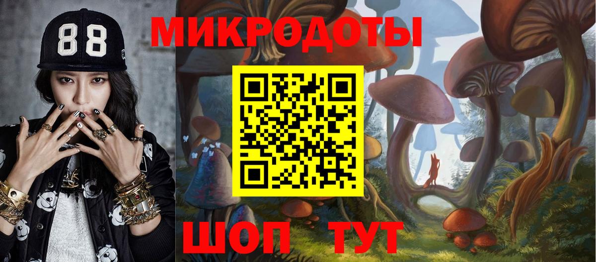 Псилоцибиновые грибы прущие грибы Азнакаево